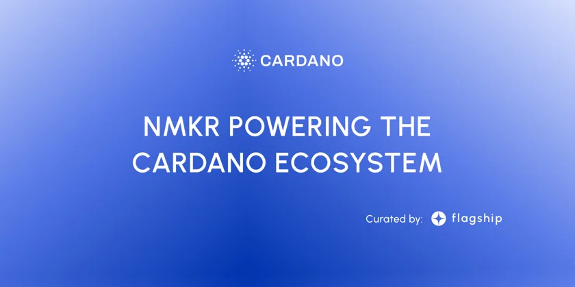 NMKR crypto token on cardano