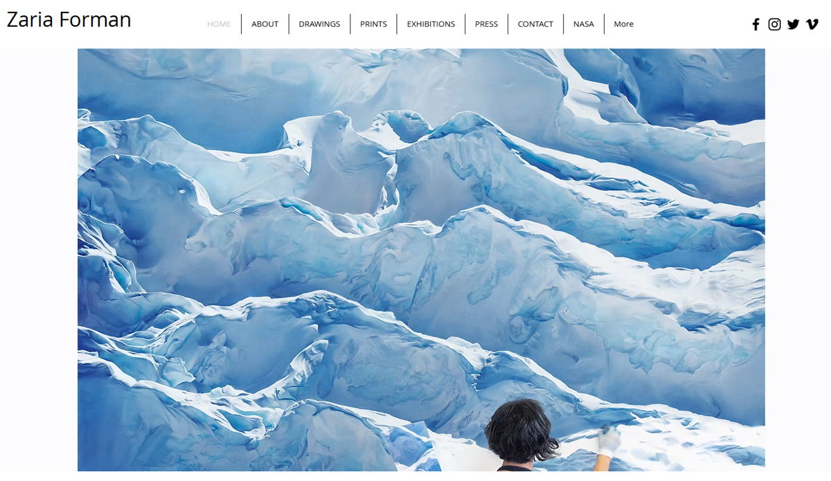 Screenshot of Zaria Forman, from the wix portfolio website examples collection.