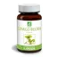 Gingko Biloba BIO