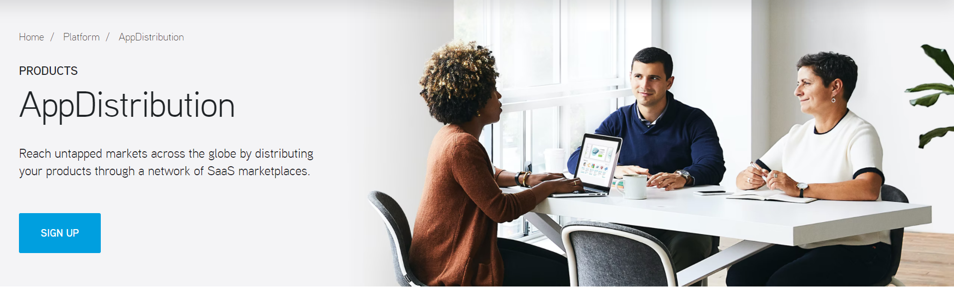 AppDirect product / service
