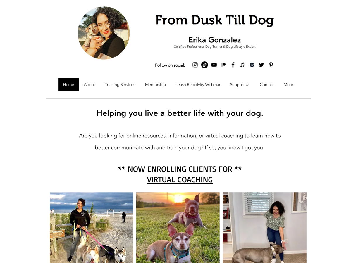 Screenshot of From Dusk Till Dog, from the teacher & educator websites collection.