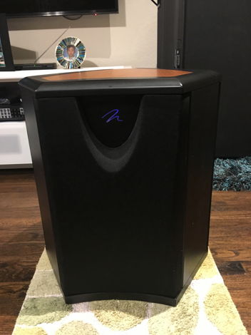 Martin Logan descent power subwoofer