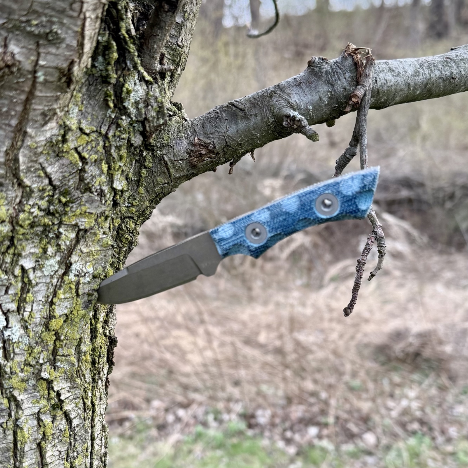I love the look of my Piranha I had to take a photo of it out in the field. – by Lance