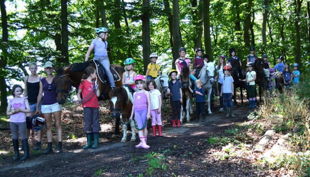 famielien reitschule lembeck dronsberg