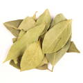 A pile of dried bay leaves arranged on a plain white background.