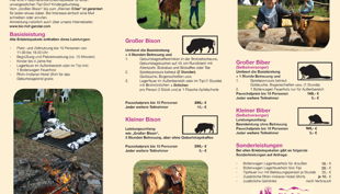 broschüre kindergeburtstag