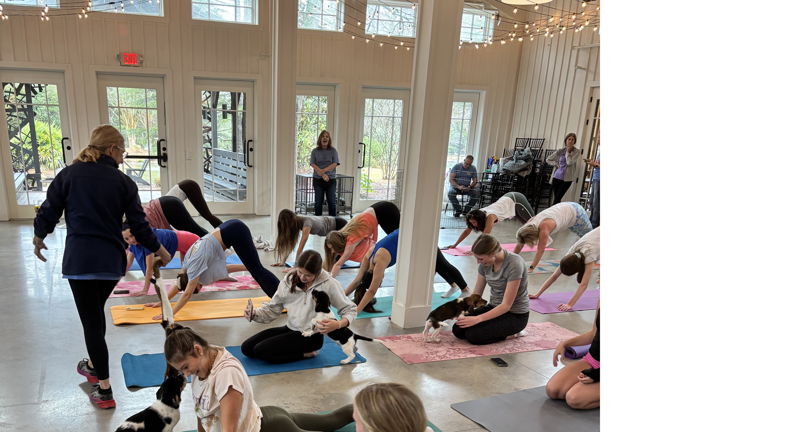 Furkids Puppy Yoga Series Returns with Rescue Puppies, Morning Yoga and a Good Cause