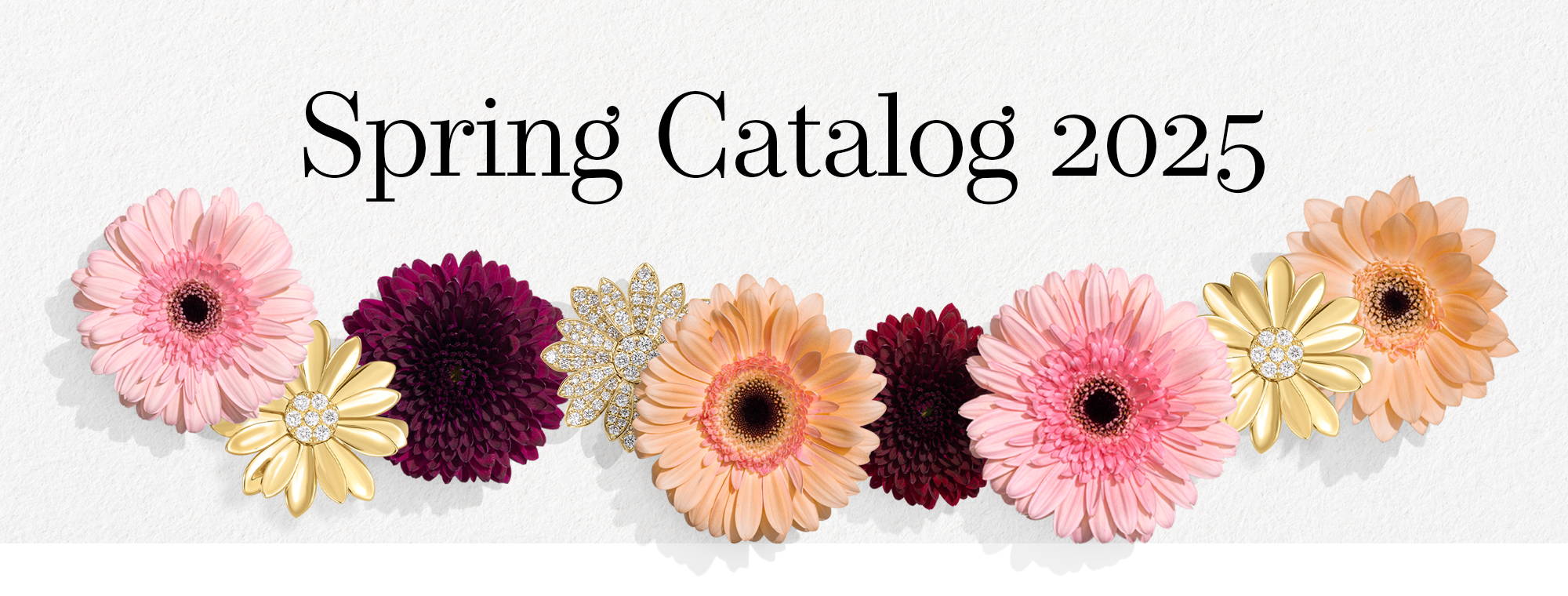 2025 Spring Catalog Banner 2025 Spring Catalog Banner