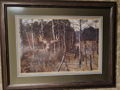 Framed Print Swamp Master by Charles Denault