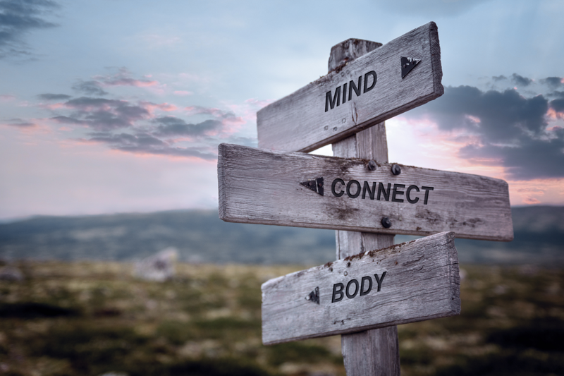(Hold)The Mind/Body Connection: Neuroplasticity and Massage Therapy