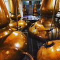 Salle de distillation avec des alambics traditionnels Pot Stills de la distillerie Dalmore dans le nord-ouest des Highlands d'Ecosse