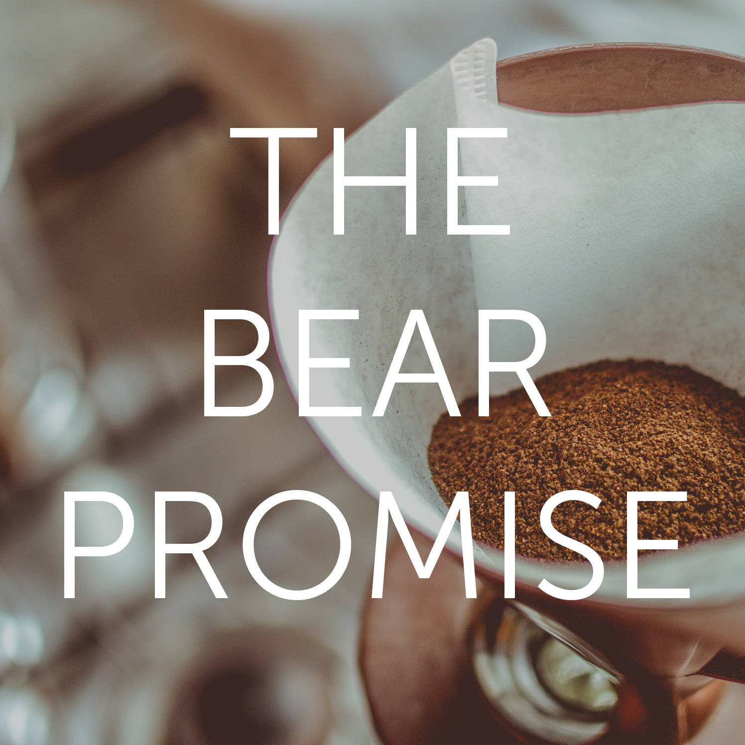 the bear promise