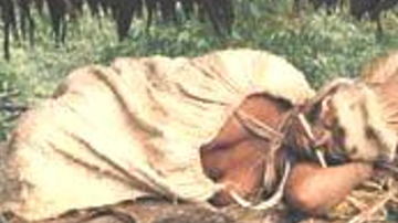 Main Content Image