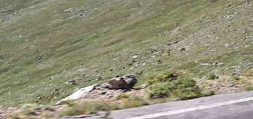 5 Scenic Self-Guided Motorcycle Rides near Denver, CO