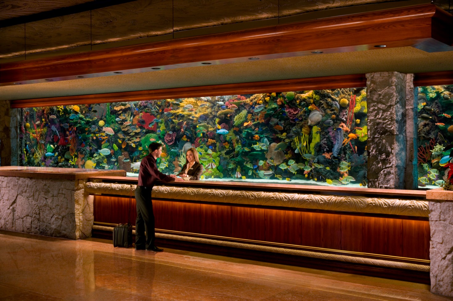 The Mirage Uploaded on 2021-11-15