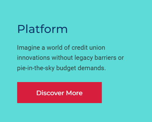 Constellation Digital Partners product / service