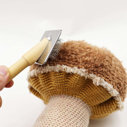 PILI | crochet Mushroom