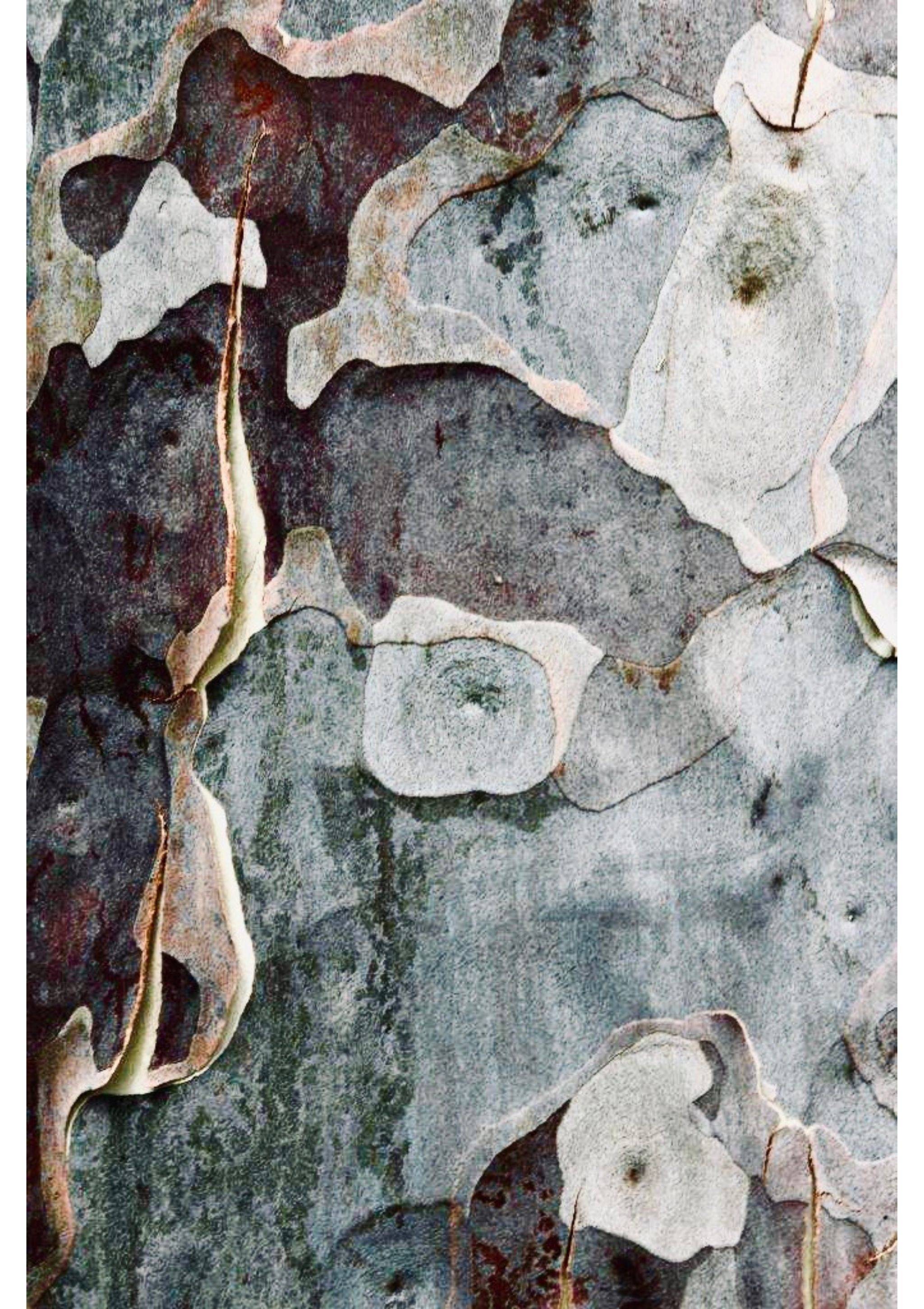 Layers of a Gumtree