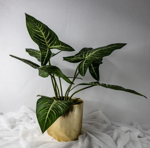 Xanthosoma Leaf (12 Pack)- Realistic Artificial Flowers and Greenery