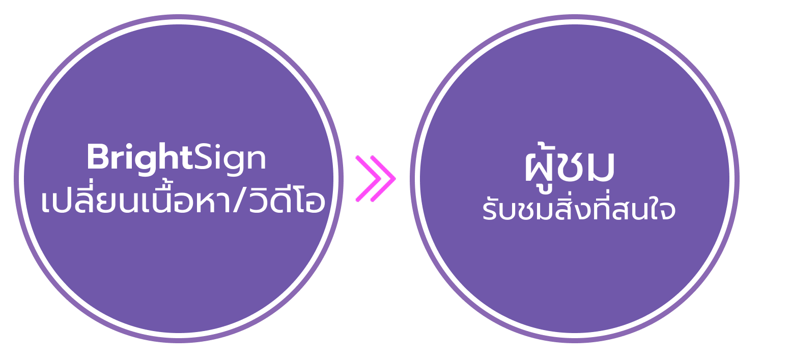 การทำงาน