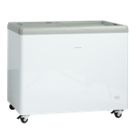 Rubin IC 310 D Glassfrysbox