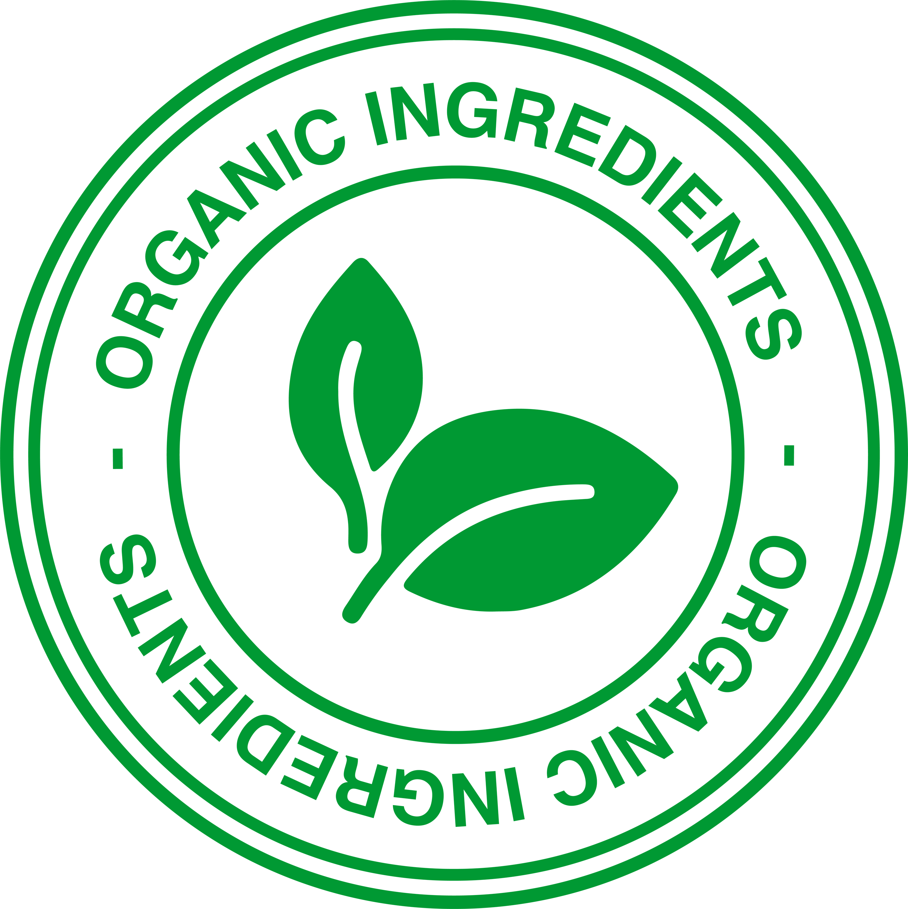 Organic Ingredients 