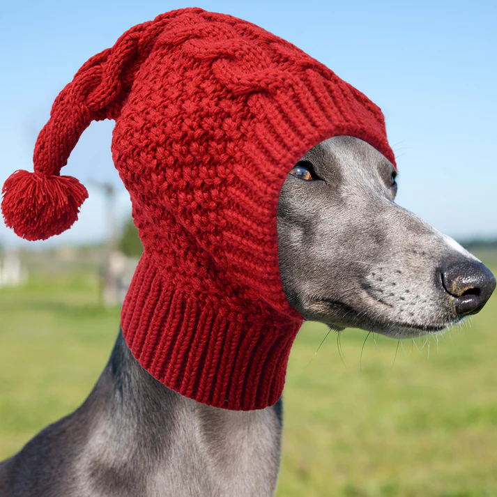 Red Whimsical Knit Dog Hat with Pom-Pom - Cozy Winter Pet Beanie & Snood - Image 3