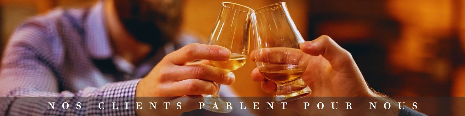 mouton des Highlands d'Ecosse surpris qui fait les gros yeux