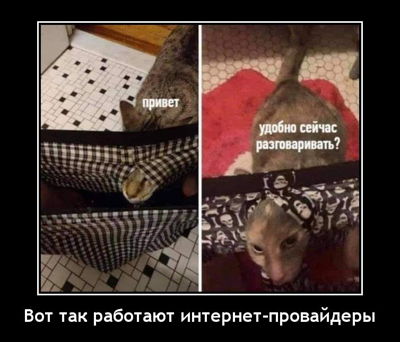 Вот так работают интернет-провайдеры.