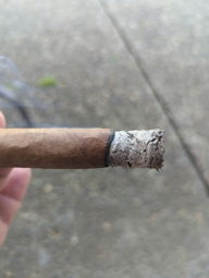 Cigar Session Photo
