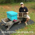 installing-new-honeybee-hive-at-gypsy-shoals-farm-apiary