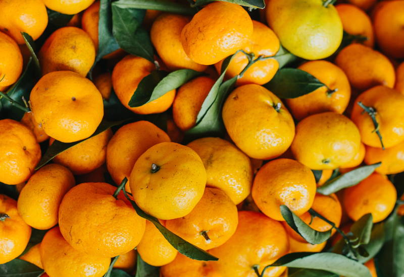 みかん 収穫 時期