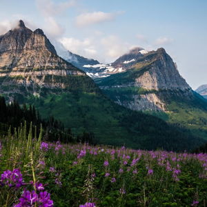 Glacier National Park Honeymoon Fund