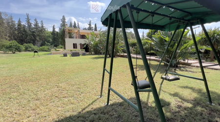 Greenhouse Mornag