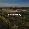 Yarra Valley Helicopter Wine Tours