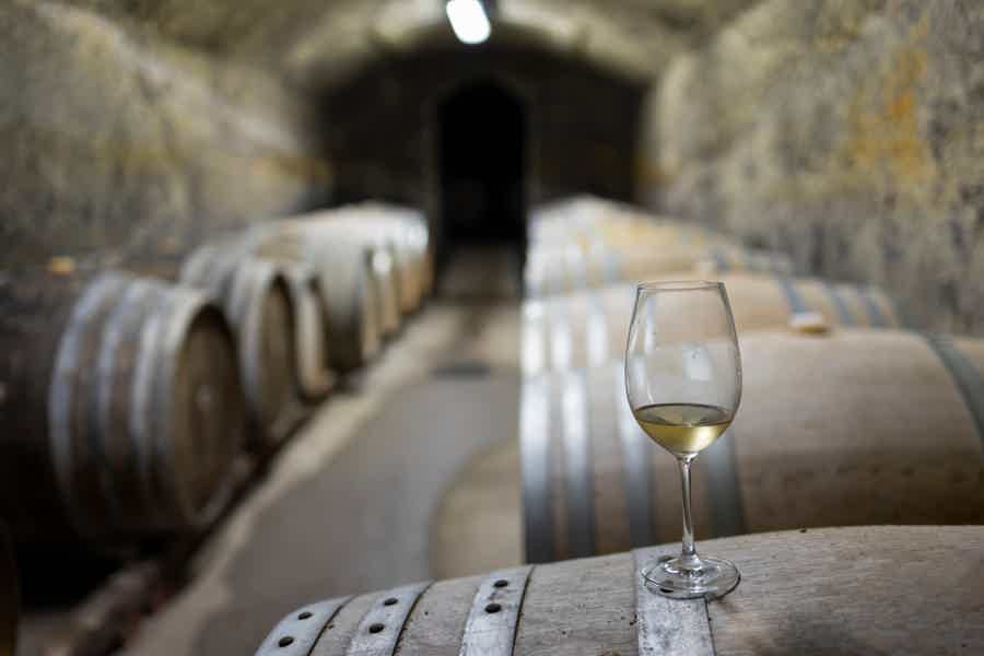 Czech Vineyards and Wine Tasting 4WD Tour with Lunch - photo 3