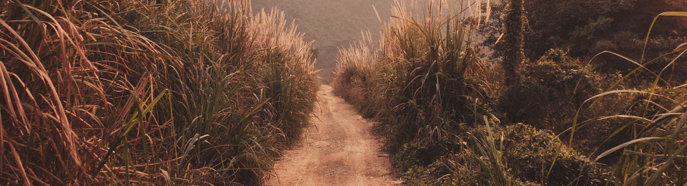 brown dirt road