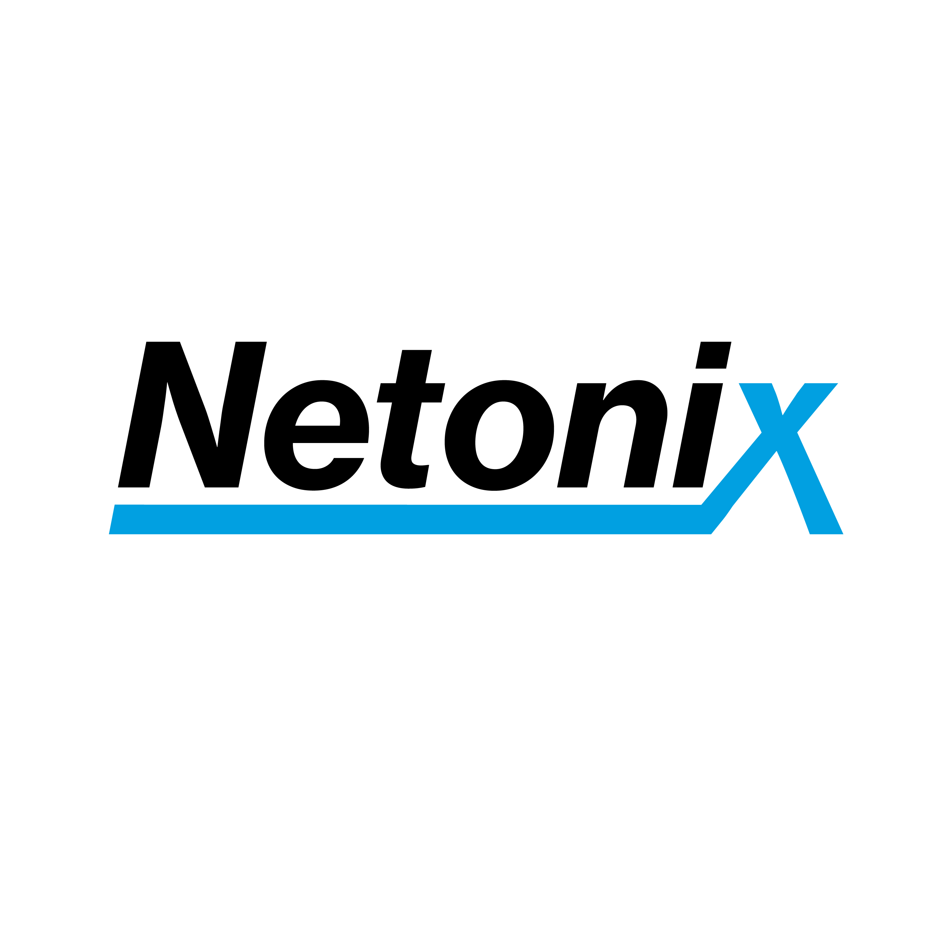 Netonix