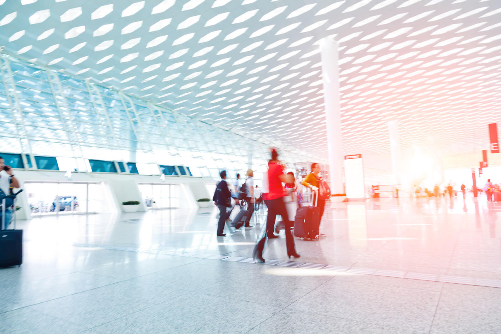 passenger in the airport terminal