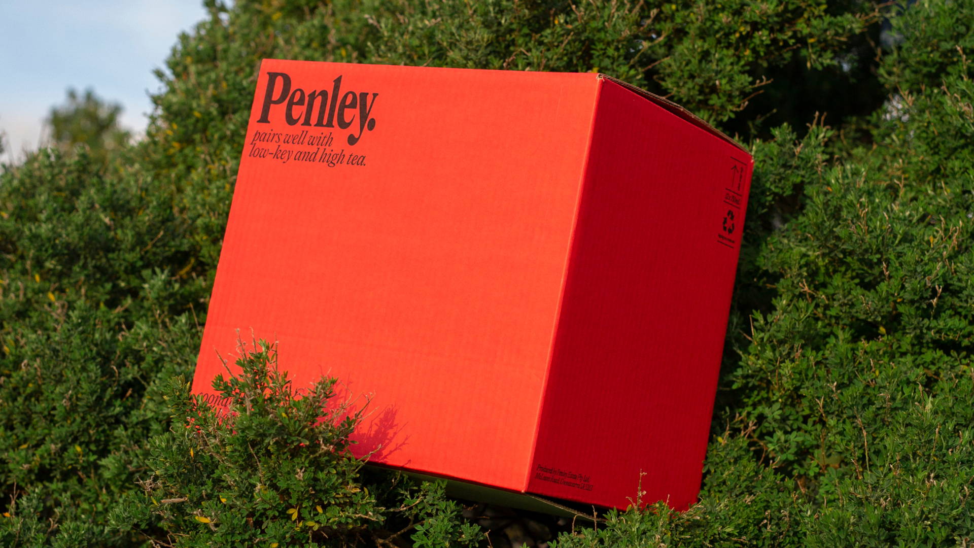 Featured image for Penley's 90s Aesthetics Bring The Brand To Life