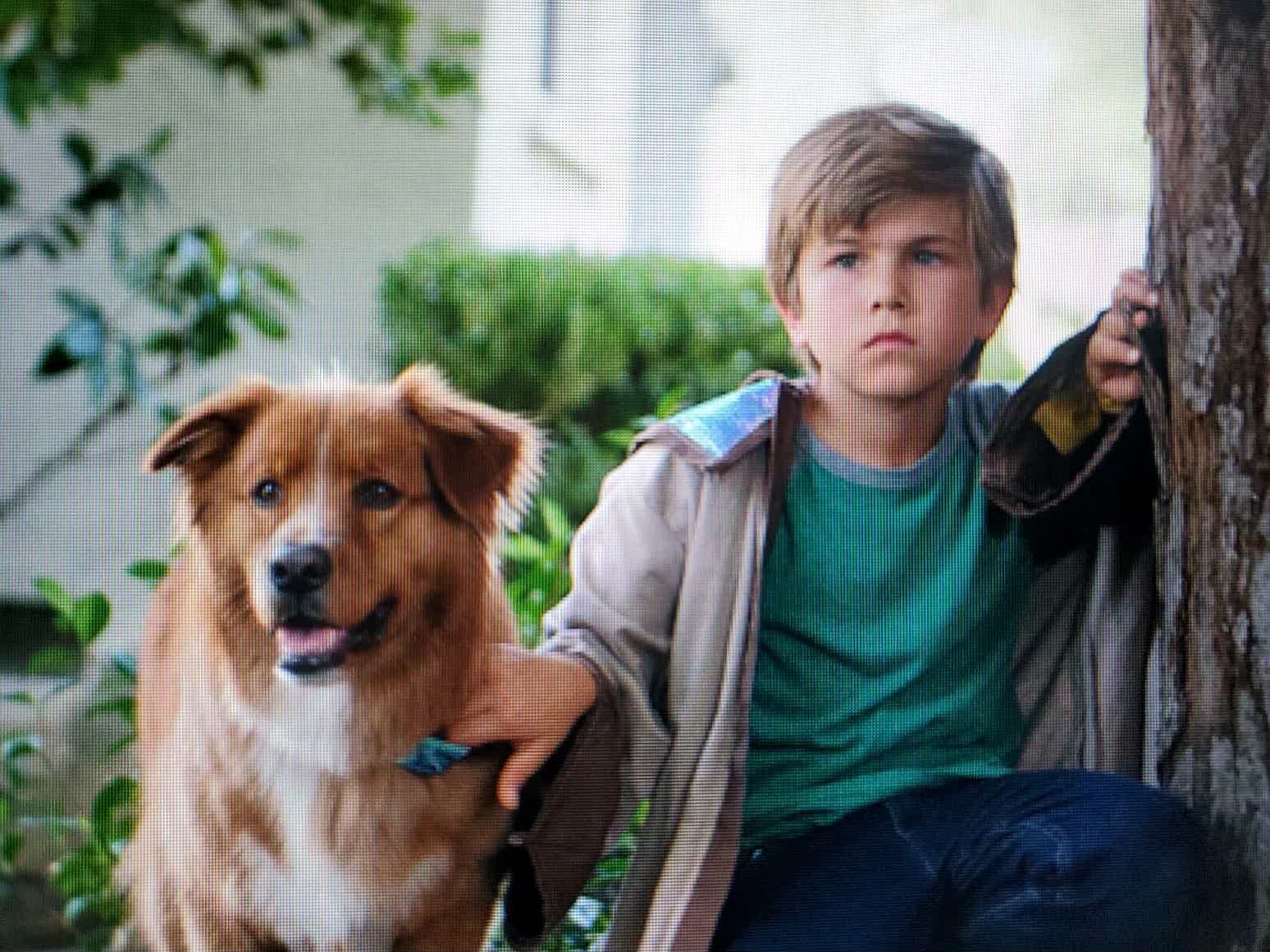 Dax, one of the twins who owns Nuzzles, and the money shedding star of Furry Fortune