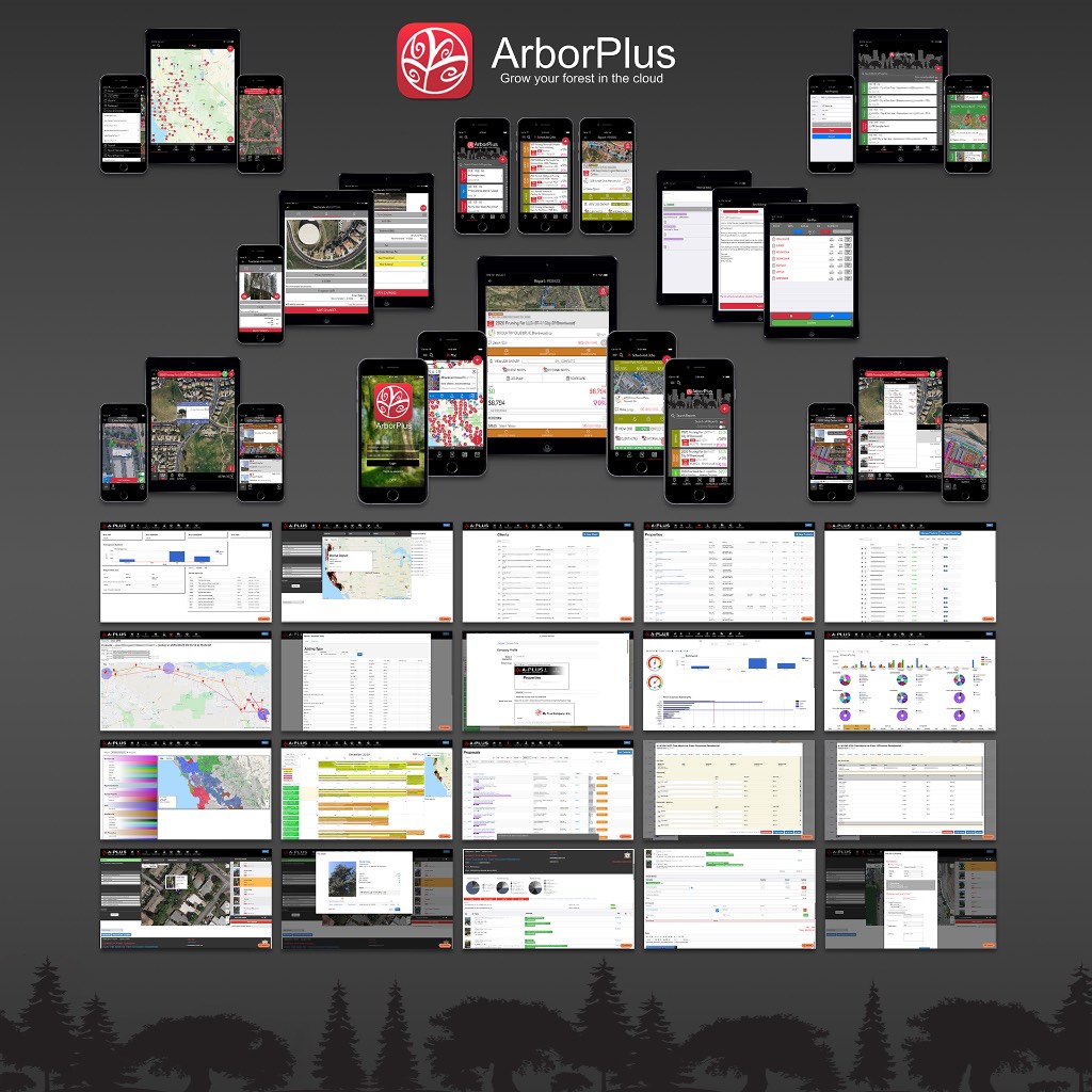 Patent prosecution developers developer - Yaroslav Z.'s portfolio image