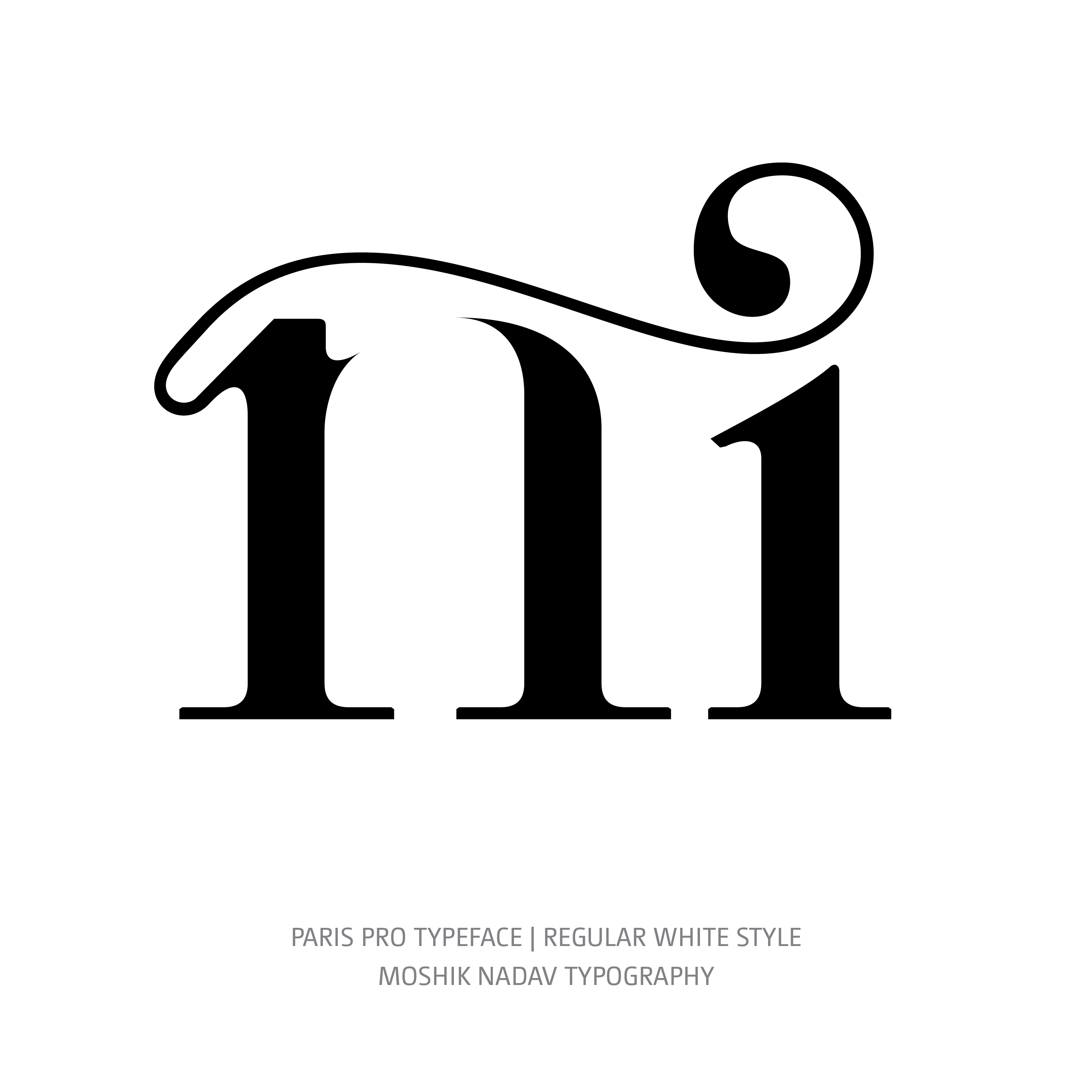 Paris Pro Typeface Regular White ni alternative ligature