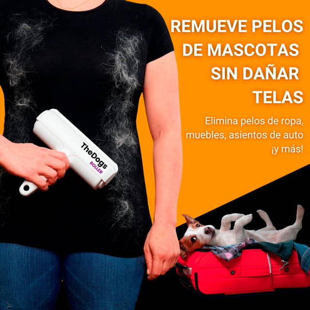 Camas para perros