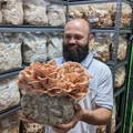 Man Holding Pink Oyster Mushroom Grow Kit
