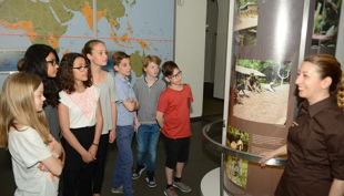 kinder ausstellung schokoladenmuseum koeln