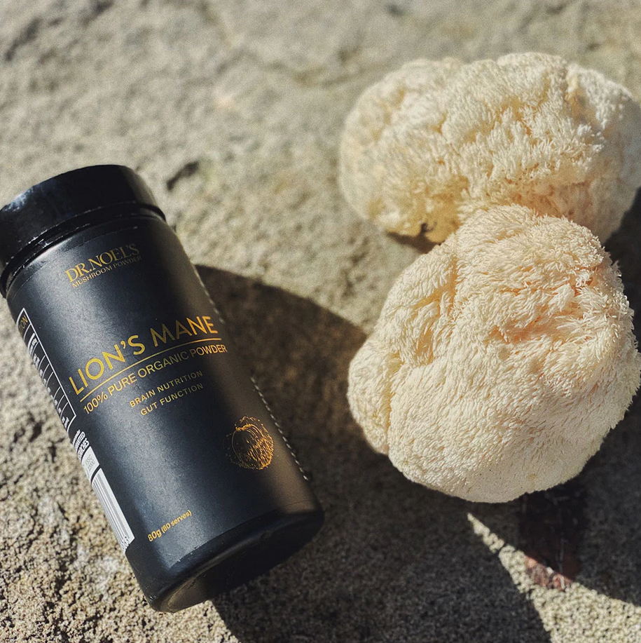 Concentrated Organic Lion's Mane Powder - Image 3