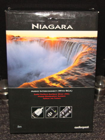 AudioQuest Niagara RCA 1/2M ints Nice short as new !