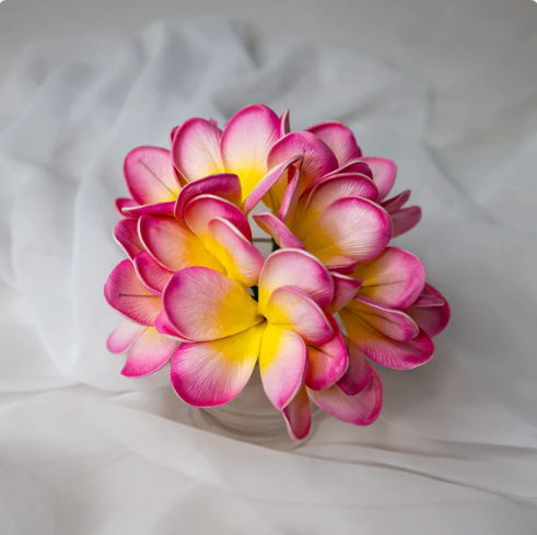 Light Pink Frangipani Flowerhead (6 Pack) - Realistic Artificial Flowers - Image 5
