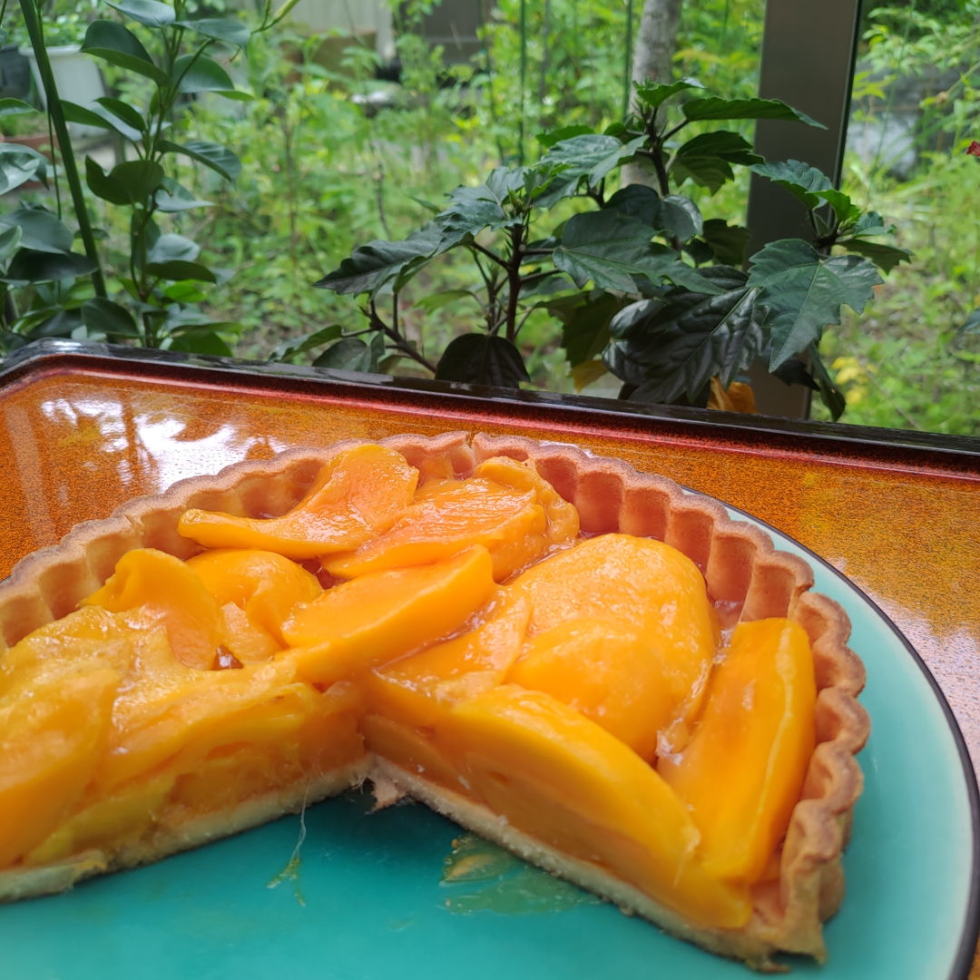 Tarte Mango naturel